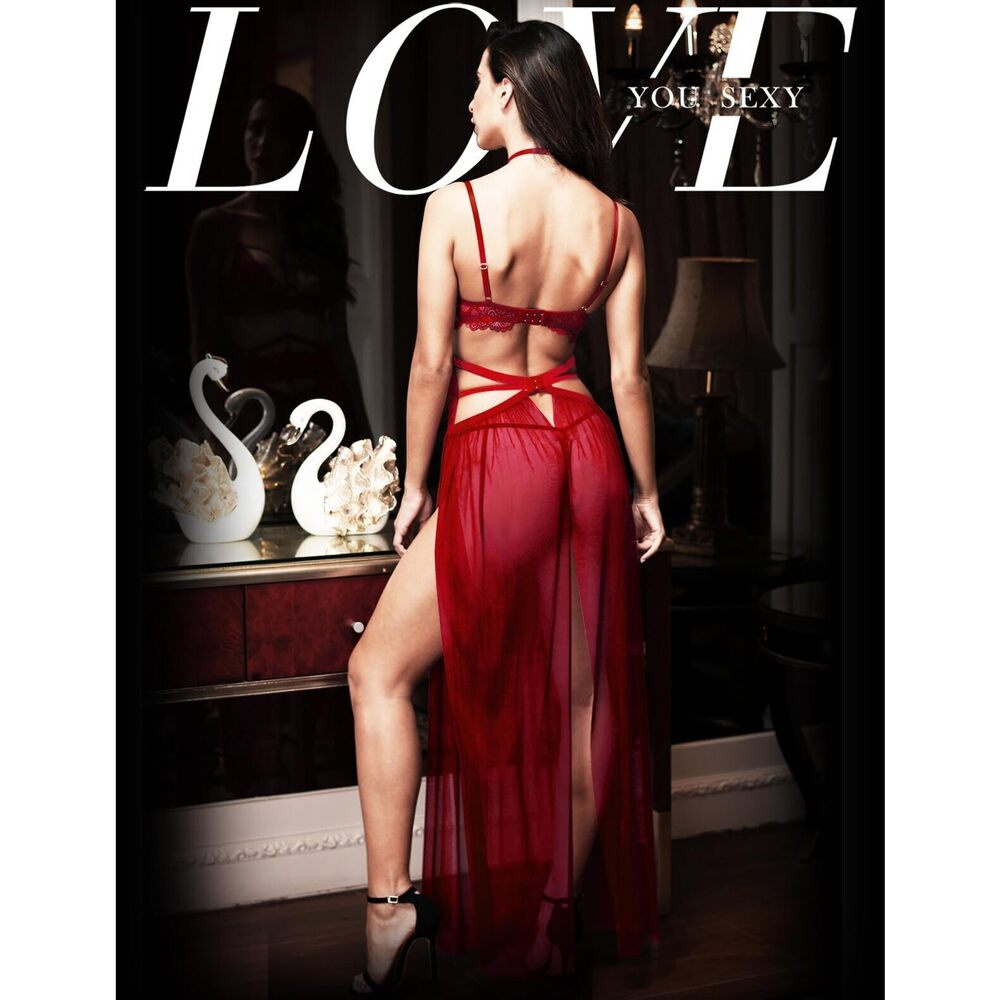 2113 Lace Lingerie Set,Lace Bra and Girdle with Long Sheer Mesh Dress - Picture 5 of 7